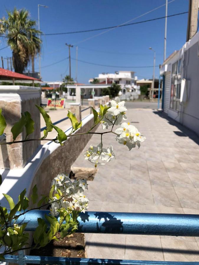 Chrysanthi's Apartment Faliraki